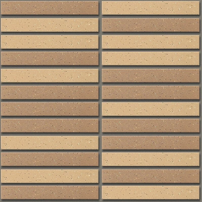 Ảnh Gạch ốp lát INAX-1525/EAC-1 3