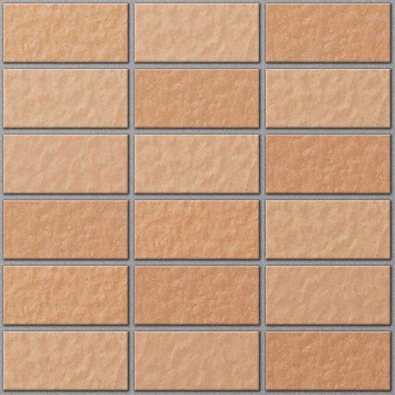 Ảnh Gạch ốp lát INAX-255/VIZ-1 10