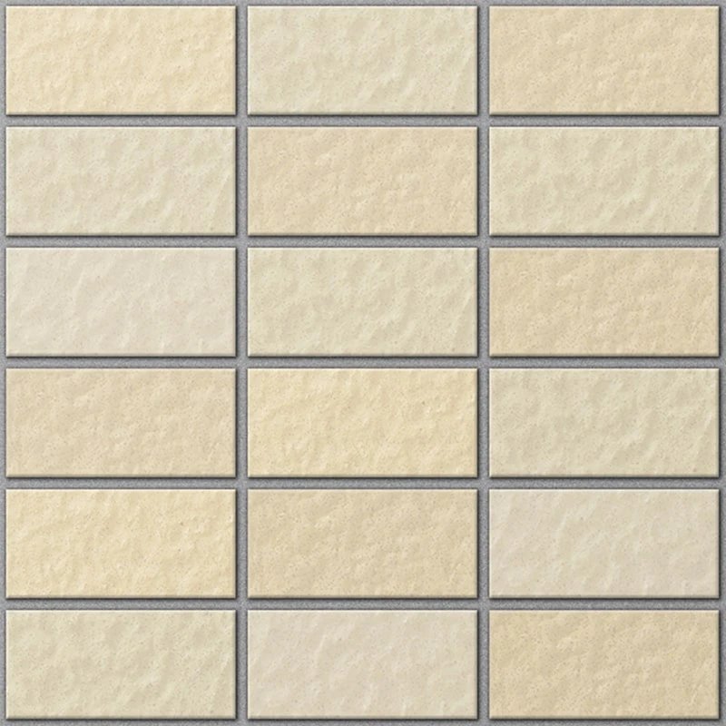 Ảnh Gạch ốp lát INAX-255/VIZ-1 9