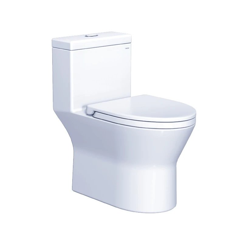 Ảnh Combo thiết bị vệ sinh Caesar số 23 3