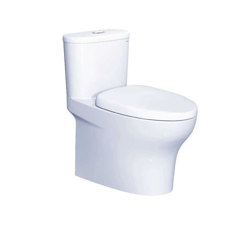 Ảnh Combo thiết bị vệ sinh Caesar số 26 3