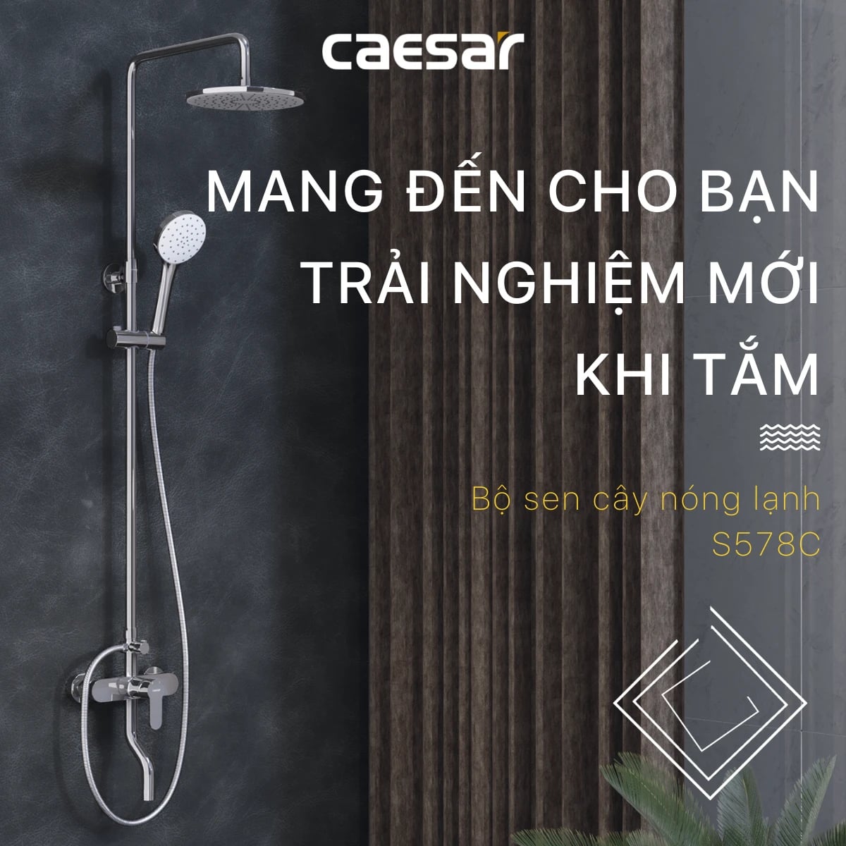 Ảnh Sen tắm cây Caesar S578C 4