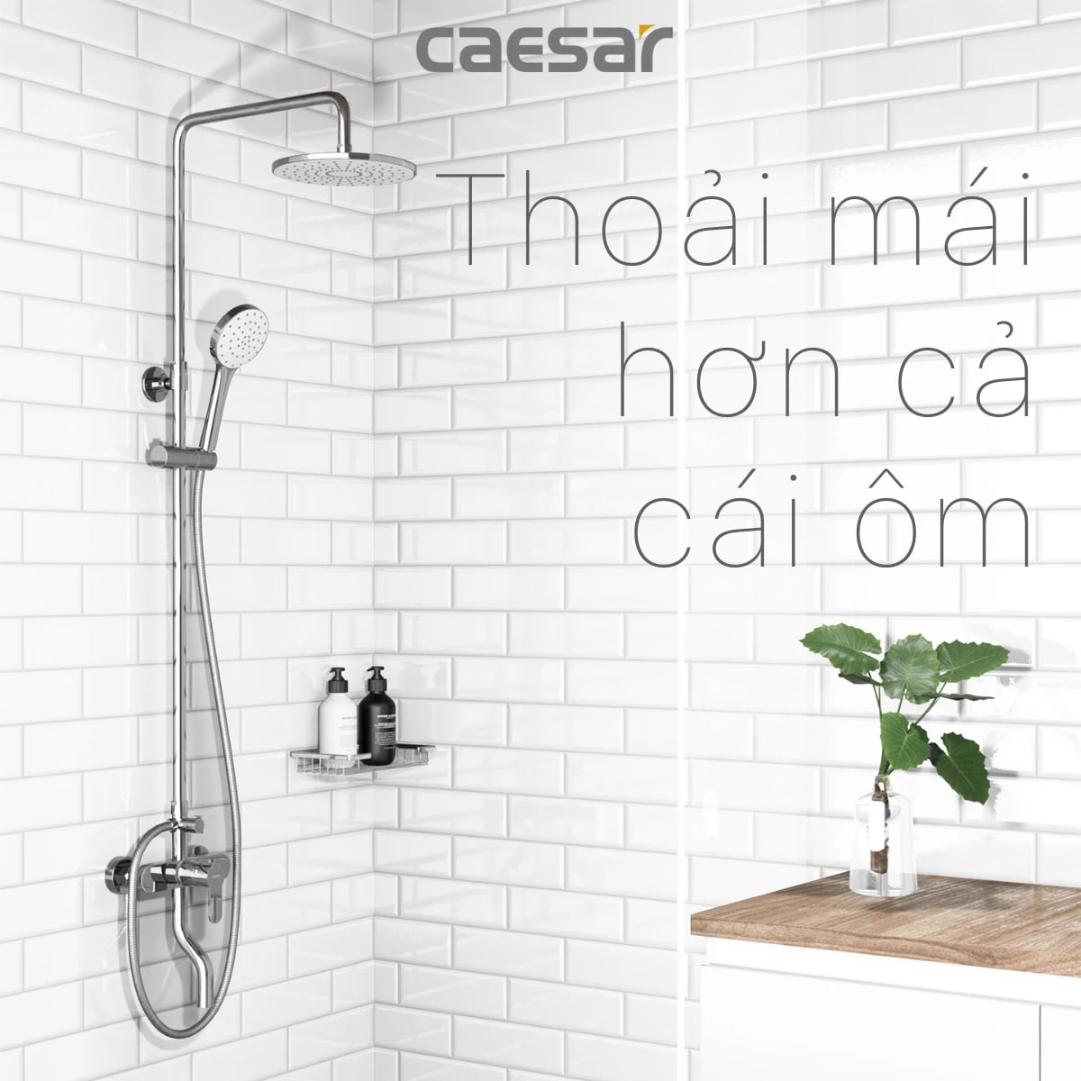 Ảnh Sen tắm cây Caesar S578C 3