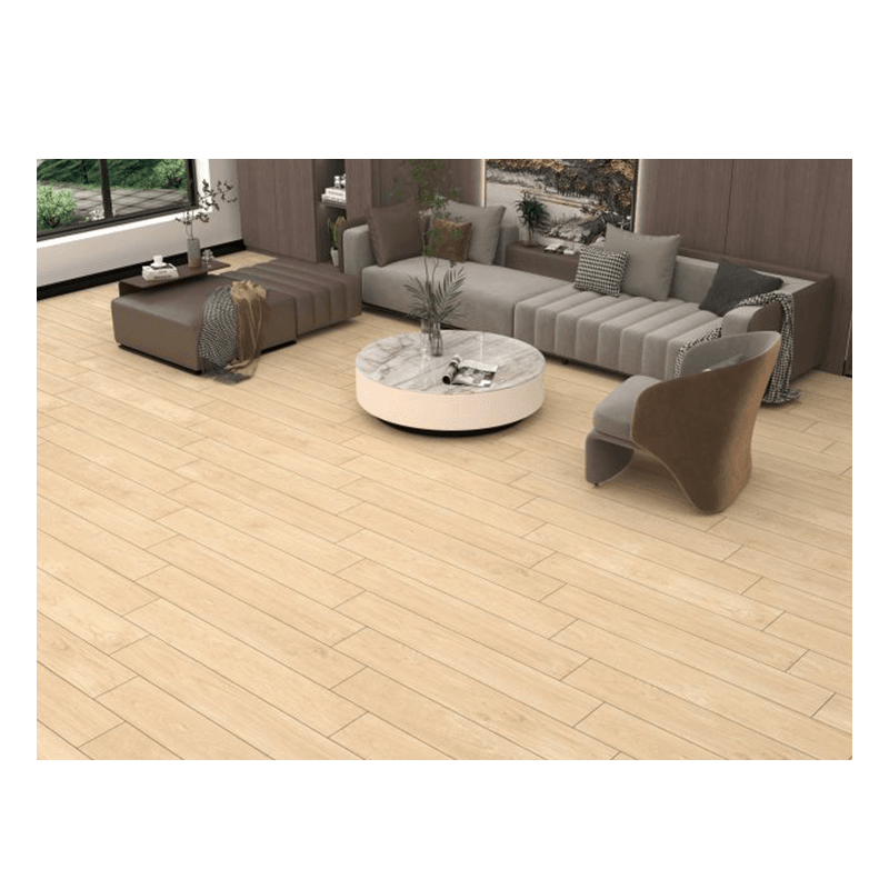 Ảnh Gạch Đồng Tâm 20120BANYAN004 3