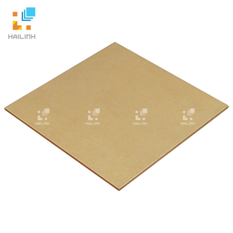 Ảnh Gạch Viglacera V 248 2