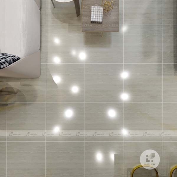 Ảnh Gạch Taicera P10208N 2