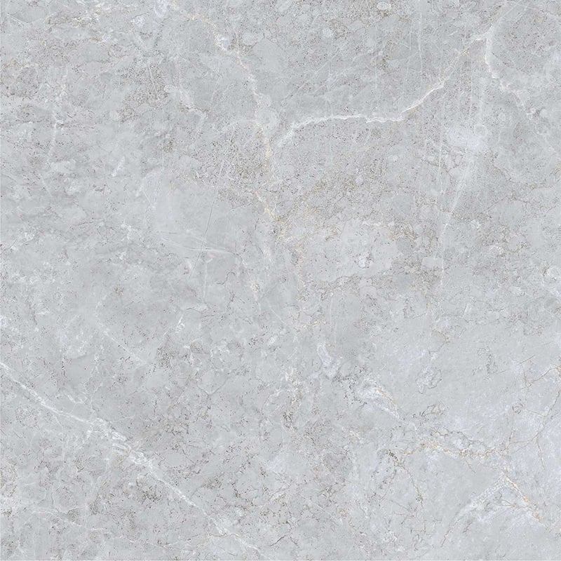 Ảnh Gạch Viglacera AZ9-GP8801 2