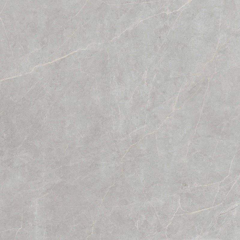 Ảnh Gạch Viglacera FL6-GP8803 4