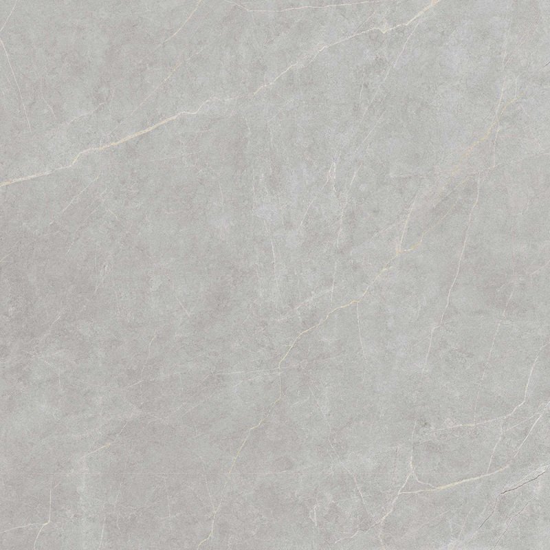 Ảnh Gạch Viglacera FL6-GP8803 4
