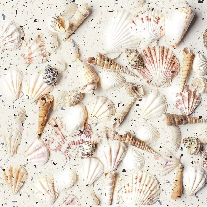 Ảnh Gạch Đồng Tâm 2020MARINA003 3