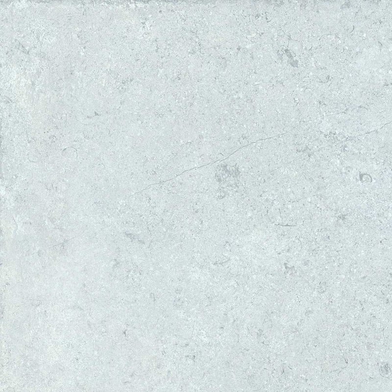 Ảnh Gạch Đồng Tâm 4040GECKO005 4