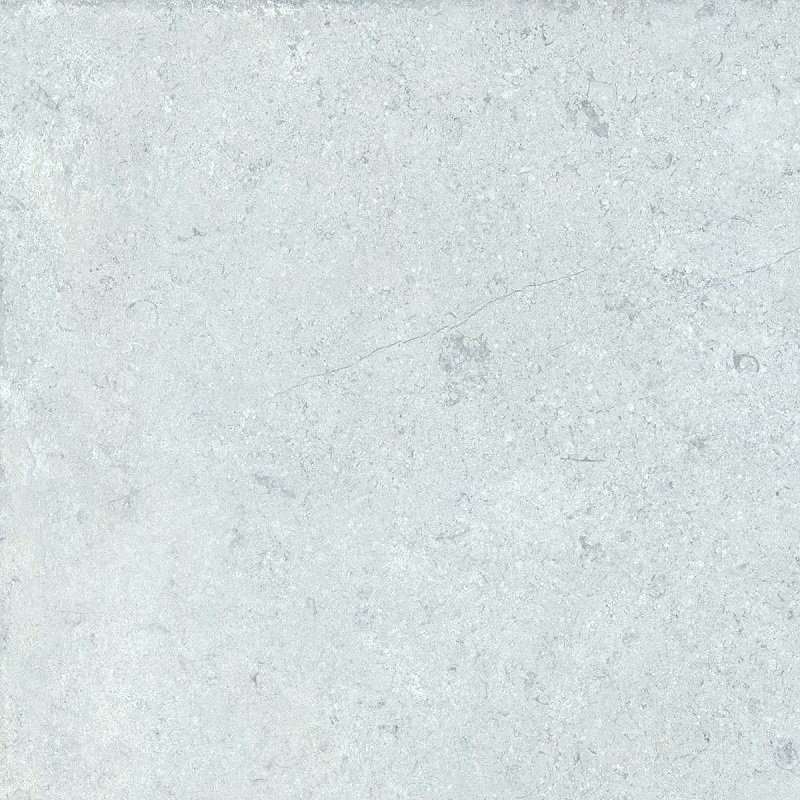 Ảnh Gạch Đồng Tâm 4040GECKO005 4