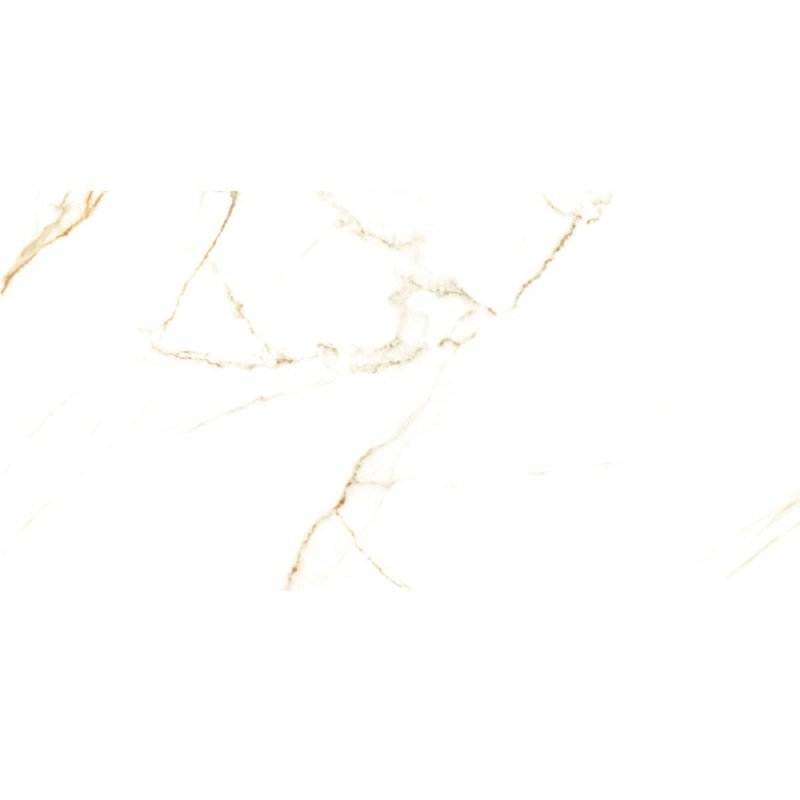 Ảnh Gạch Đồng Tâm 4080GECKO002 4