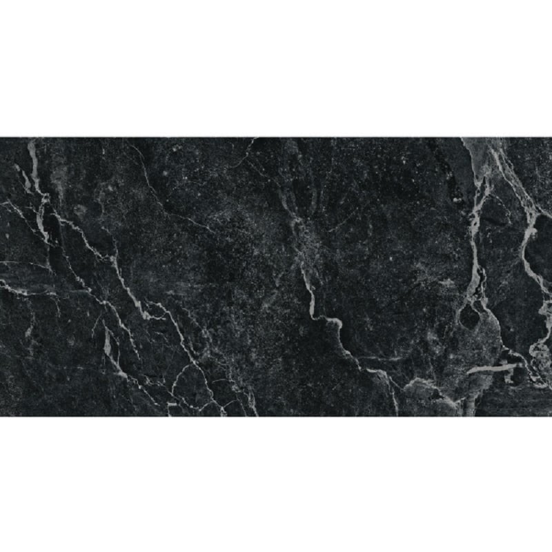 Ảnh Gạch Đồng Tâm 4080GECKO005 4