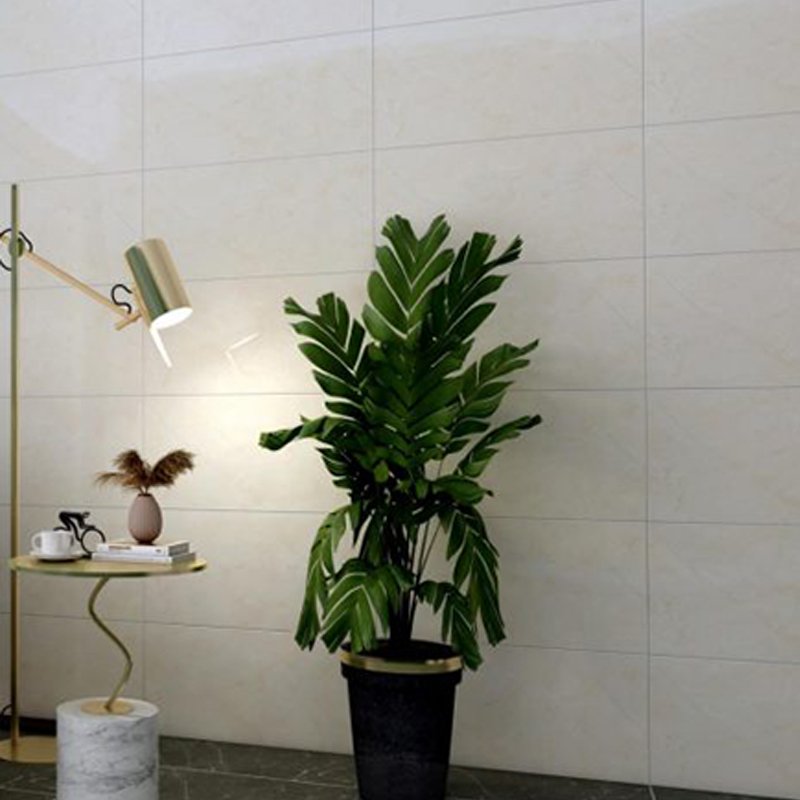 Ảnh Gạch Đồng Tâm 3060CLOUD001 2