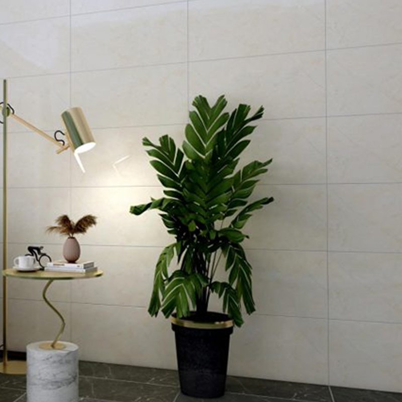 Ảnh Gạch Đồng Tâm 3060CLOUD010 4