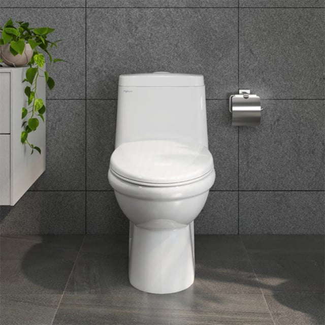 Ảnh Bồn cầu 1 khối Viglacera BL5V 3