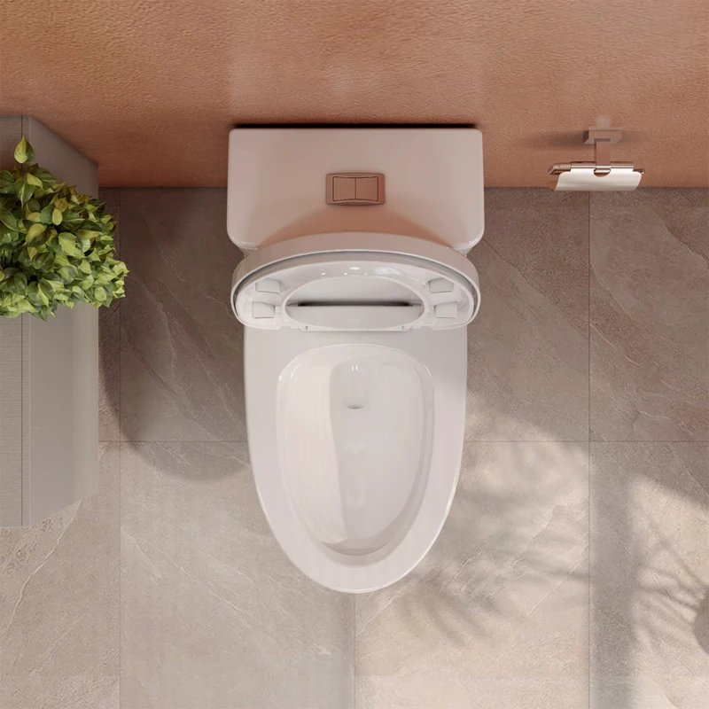 Ảnh Bồn cầu 1 khối Fansipan V700 (V72) 4