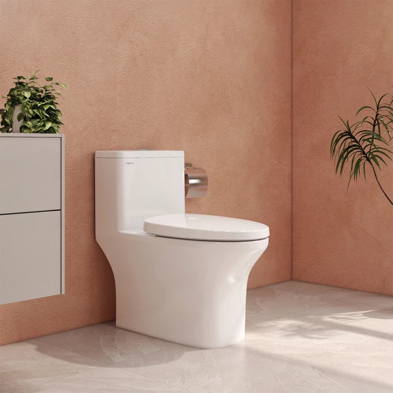 Ảnh Bồn cầu 1 khối Fansipan V700 (V72) 2