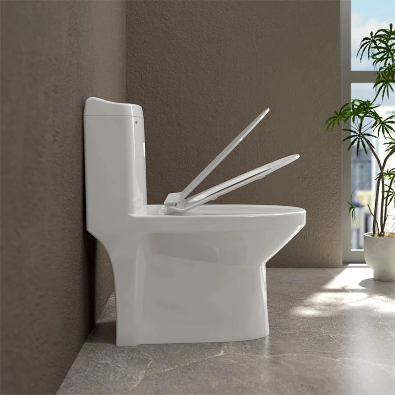 Ảnh Bồn cầu 1 khối Sanfi S301 5