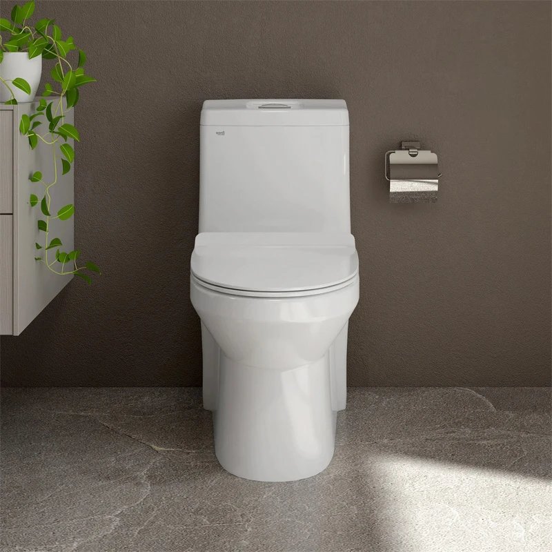 Ảnh Bồn cầu 1 khối Sanfi S301 2