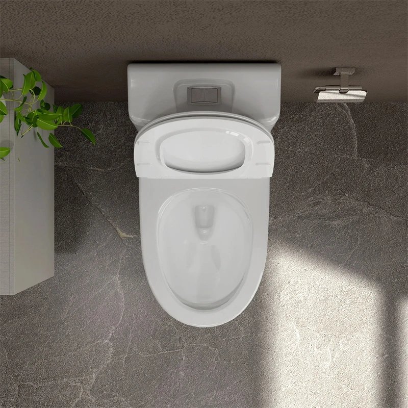 Ảnh Bồn cầu 1 khối Sanfi S301 4