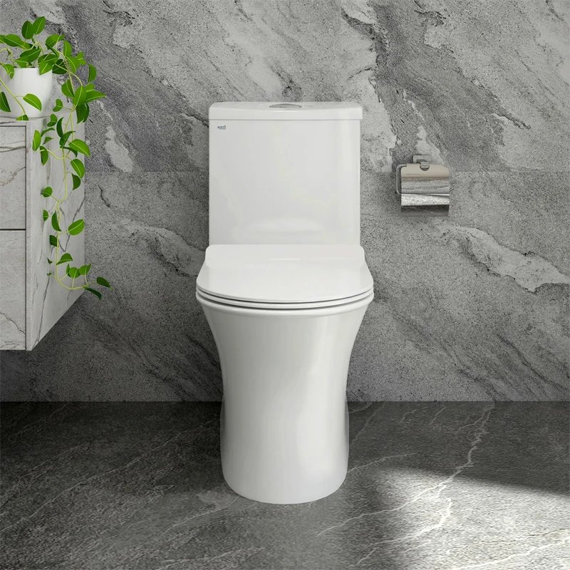 Ảnh Bồn cầu 1 khối Sanfi S302 2