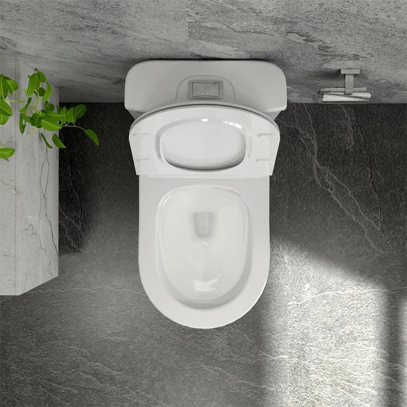 Ảnh Bồn cầu 1 khối Sanfi S302 4