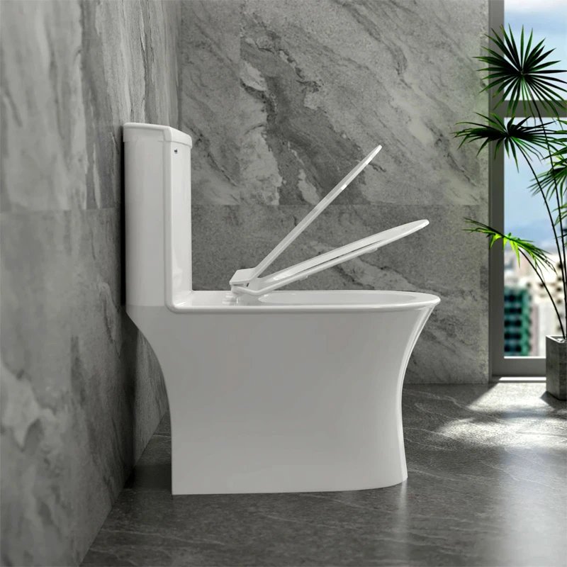 Ảnh Bồn cầu 1 khối Sanfi S302 3