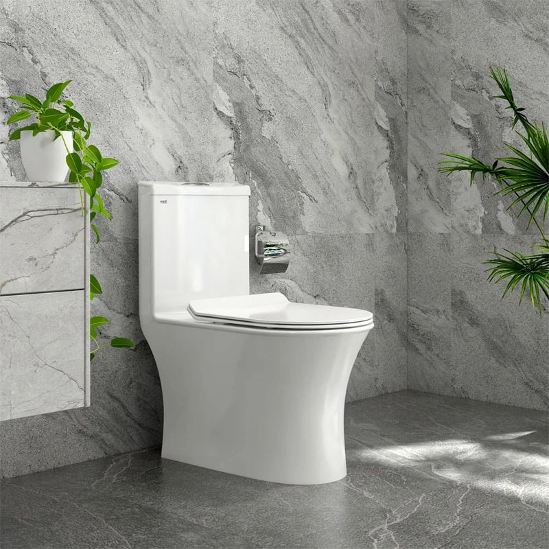 Ảnh Bồn cầu 1 khối Sanfi S302 3