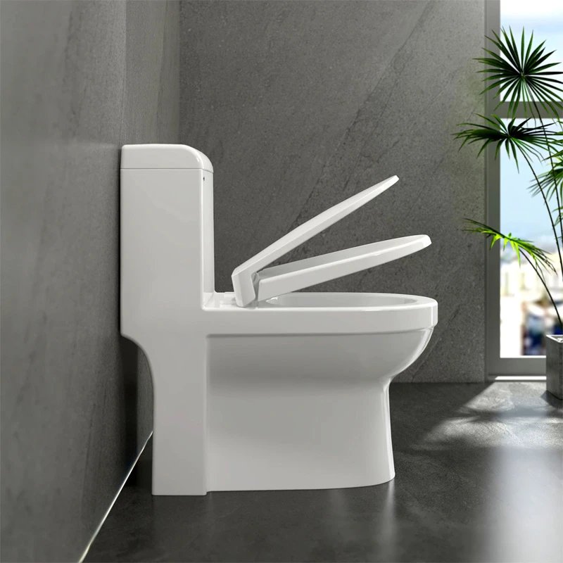 Ảnh Bồn cầu 1 khối Sanfi S304 3