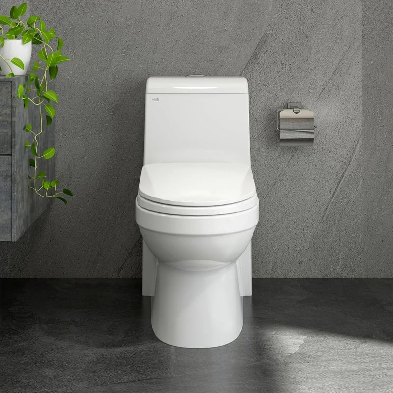 Ảnh Bồn cầu 1 khối Sanfi S304 4
