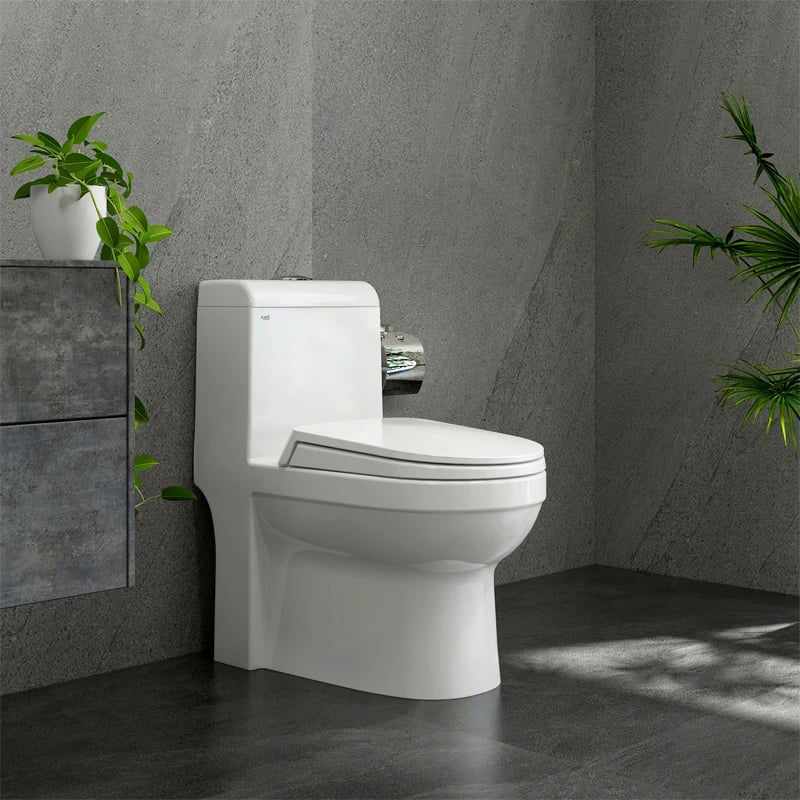 Ảnh Bồn cầu 1 khối Sanfi S304 3