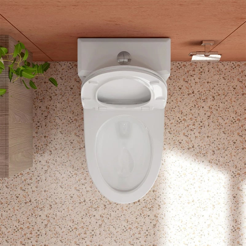 Ảnh Bồn cầu 1 khối Sanfi S306 6