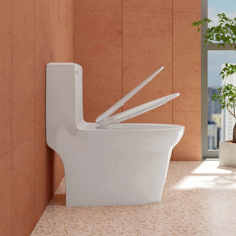 Ảnh Bồn cầu 1 khối Sanfi S306 3