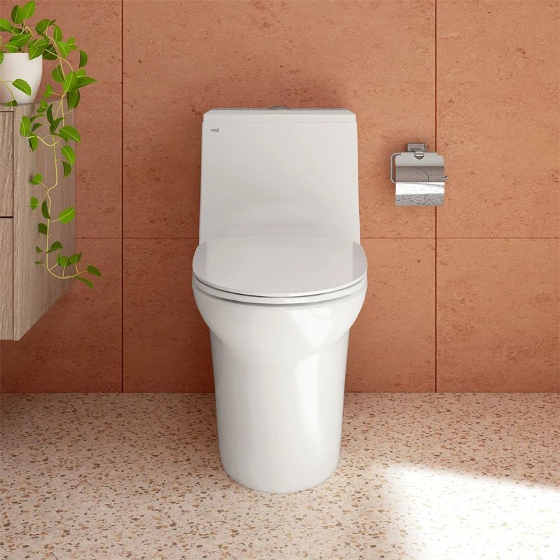 Ảnh Bồn cầu 1 khối Sanfi S306 2