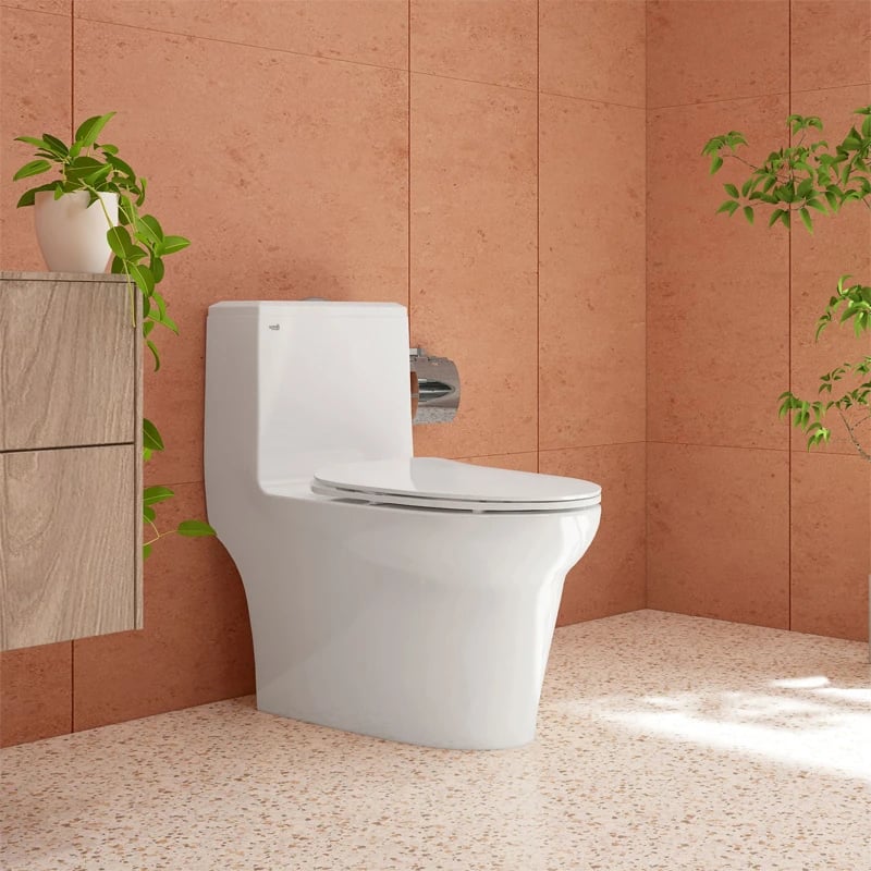 Ảnh Bồn cầu 1 khối Sanfi S306 3