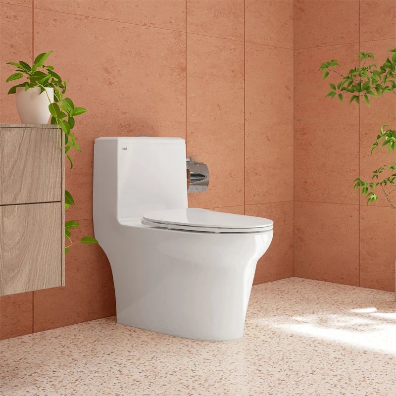 Ảnh Bồn cầu 1 khối Sanfi S306 2