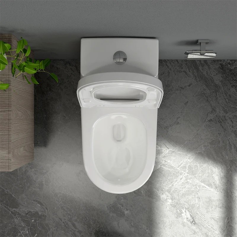 Ảnh Bồn cầu 1 khối Sanfi S308 3