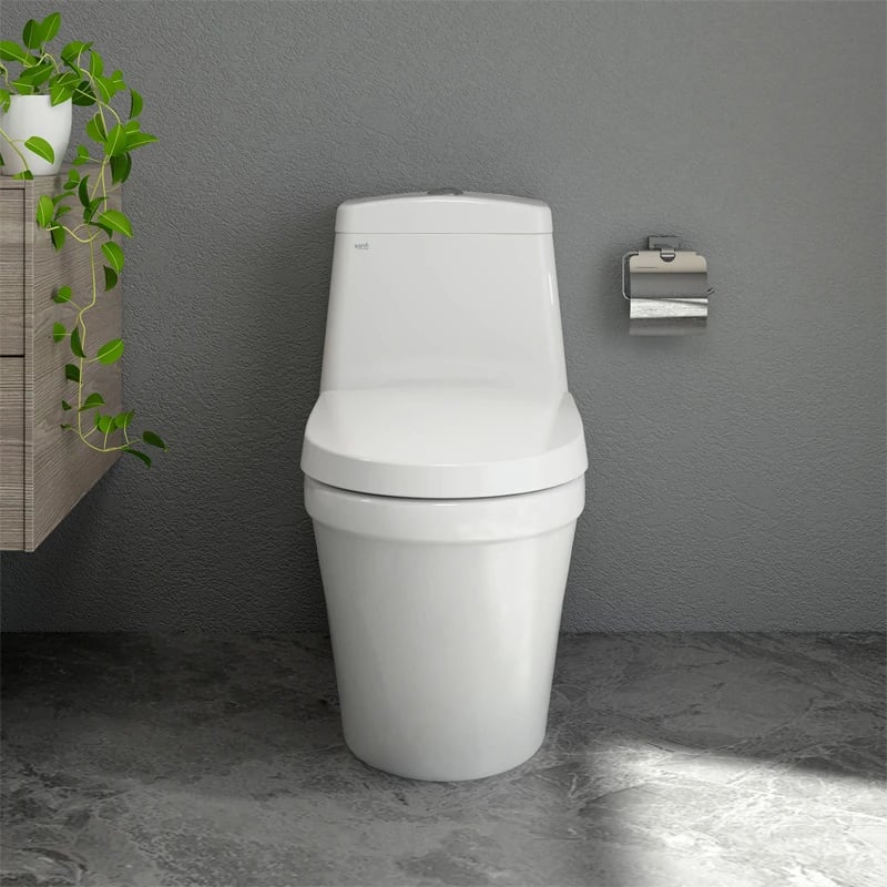 Ảnh Bồn cầu 1 khối Sanfi S308 4