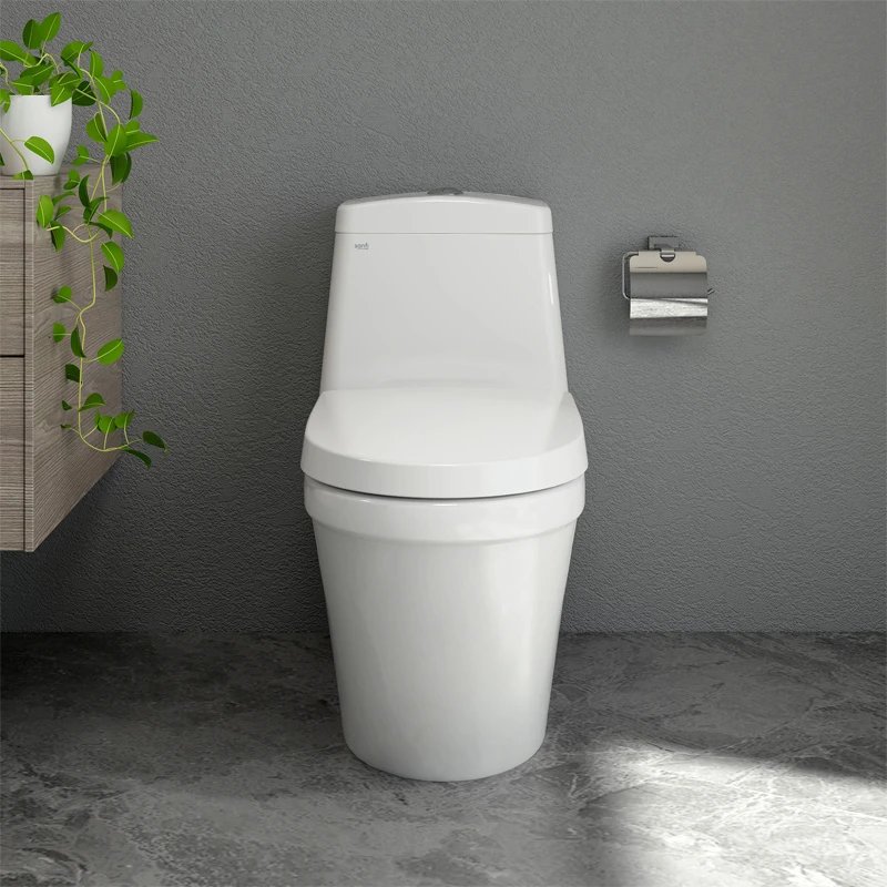 Ảnh Bồn cầu 1 khối Sanfi S308 2