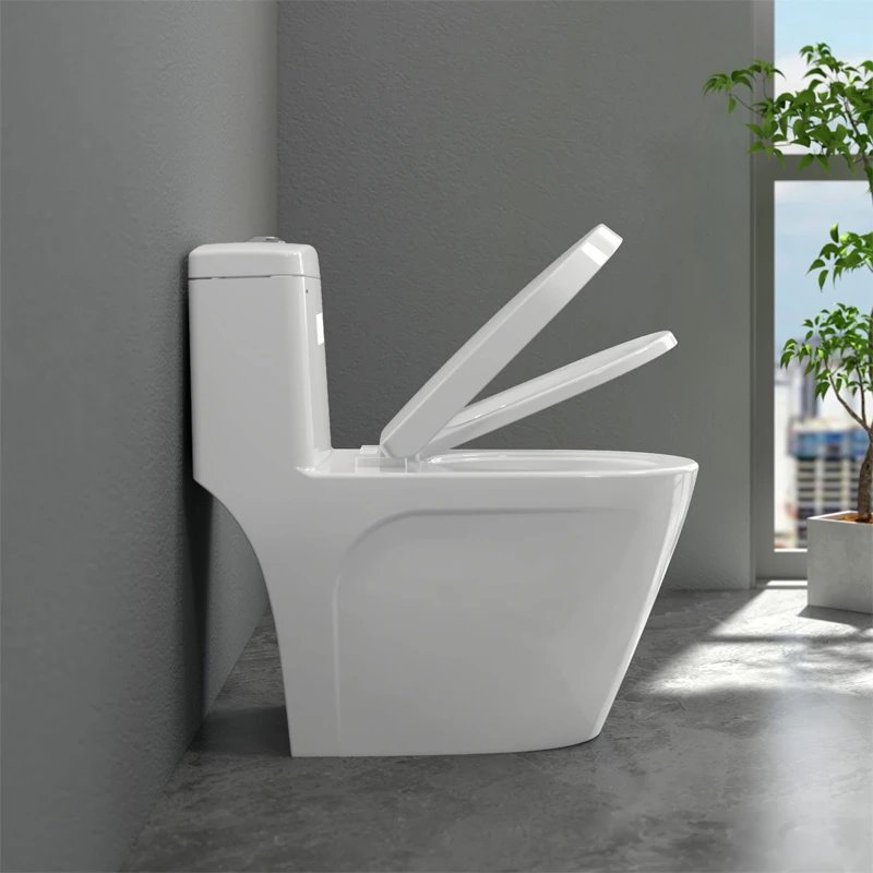 Ảnh Bồn cầu 1 khối Sanfi S308 4