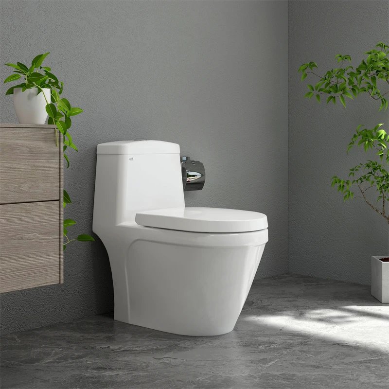 Ảnh Bồn cầu 1 khối Sanfi S308 2