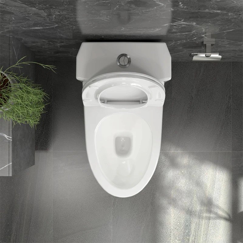 Ảnh Bồn cầu 1 khối Sanfi S303 4