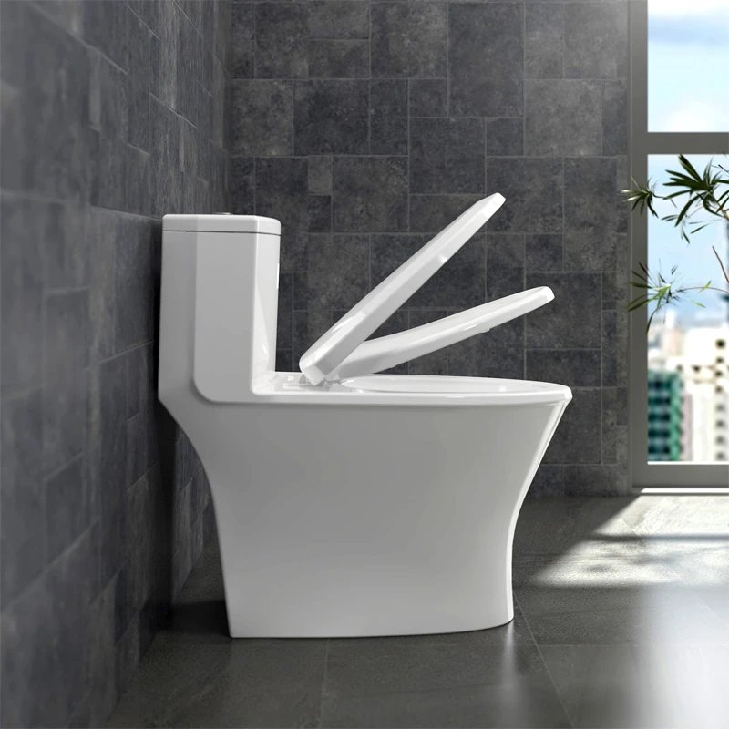 Ảnh Bồn cầu 1 khối Sanfi S303 3