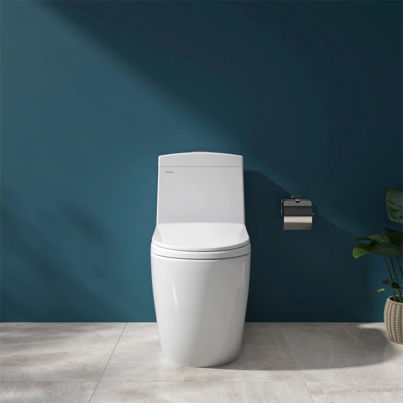 Ảnh Bồn cầu 1 khối Viglacera V199 2