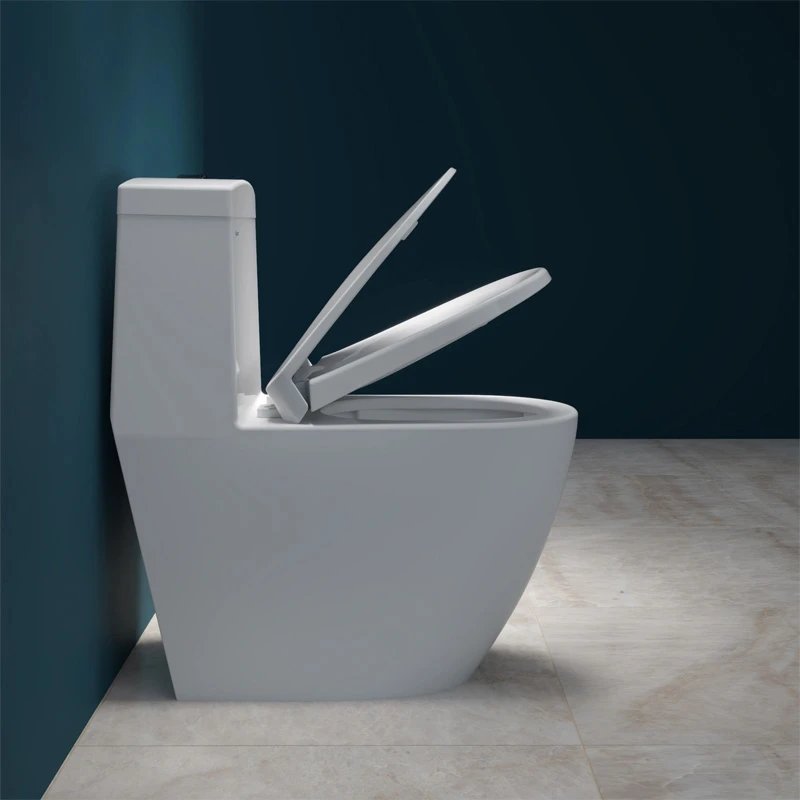 Ảnh Bồn cầu 1 khối Viglacera V199 3