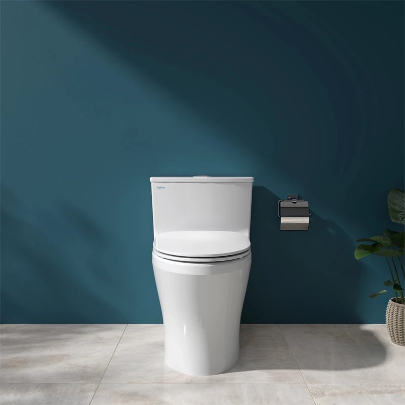 Ảnh Bồn cầu 1 khối Viglacera HL2 3
