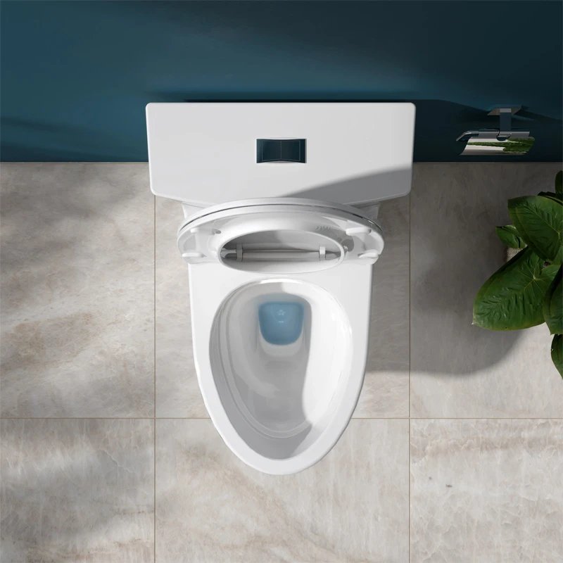 Ảnh Bồn cầu 1 khối Viglacera HL2 4