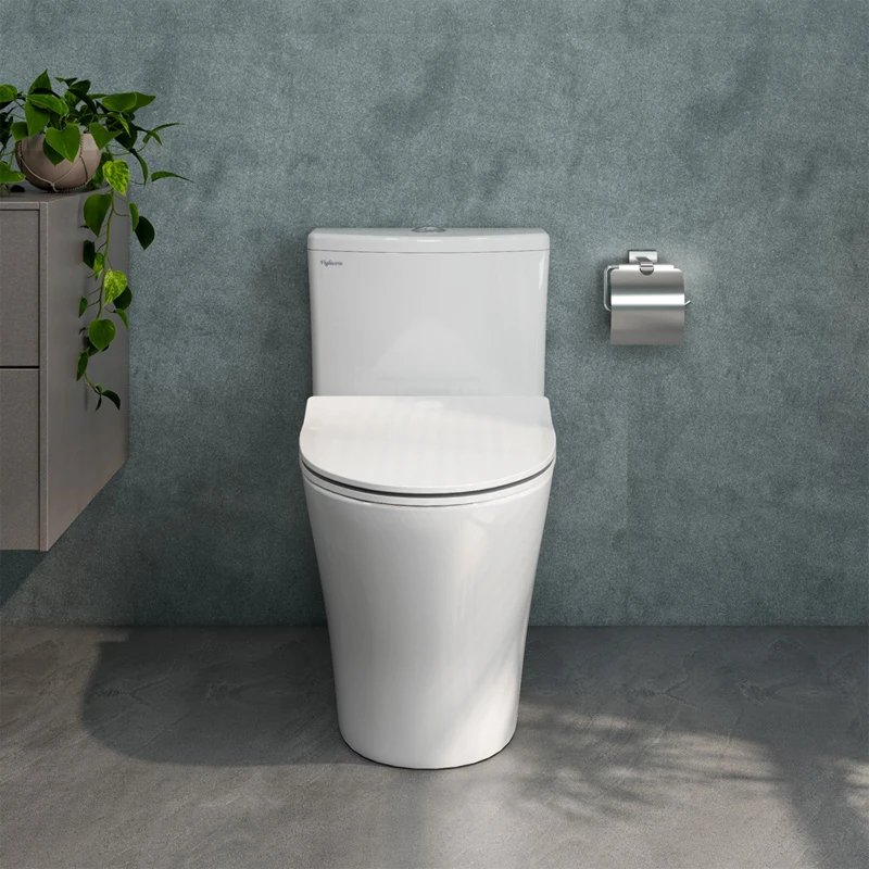 Ảnh Bồn cầu 1 khối Viglacera V36 2